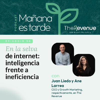 En la selva de internet: inteligencia frente a ineficiencia #30