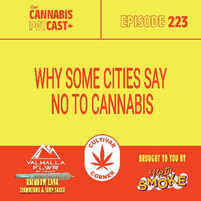 Why some cities say no to cannabis