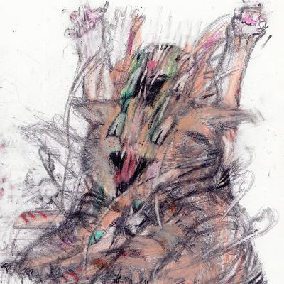 养猫家庭真的快乐吗？大型pua受害者声讨大会【狂喜播客节】