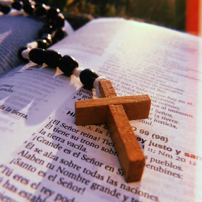 Con il cuore e la mente della Madre di Dio