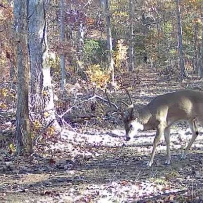 Easy Habitat Work: Quick Results