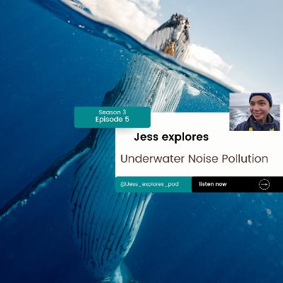 Underwater Noise Pollution Underwater Noise Pollution