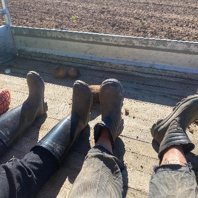 36, The power of sing 36, The power of sing