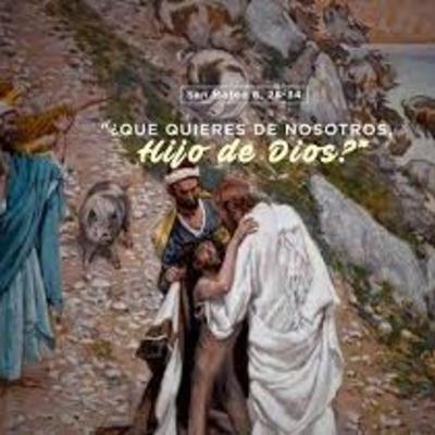 Los días los tienen contados