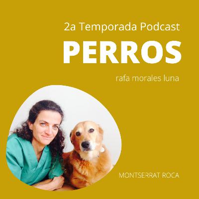 FISIOTERAPIA Y REHABILITACIÓN CANINA - MONTSERRAT ROCA