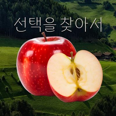 EP.18 인생의 가치관을 돌아보는 밸런스게임