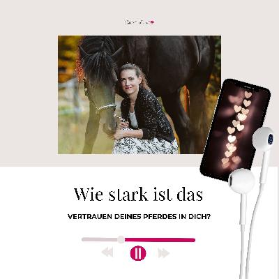 Sanft, klar, erfolgreich: So stärkst du Respekt & Vertrauen mit deinem Pferd Sanft, klar, erfolgreich: So stärkst du Respekt & Vertrauen mit deinem Pferd