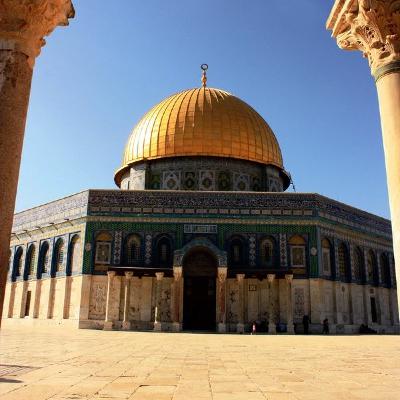 رام الله - أحمد بخيت