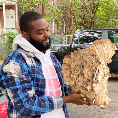 Growing Mushrooms w/ Hood Farmer Rob Growing Mushrooms w/ Hood Farmer Rob
