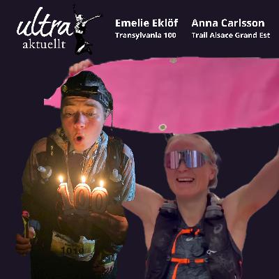 Anna vann i Alsace, björnvarning för Emelie i Transylvanien