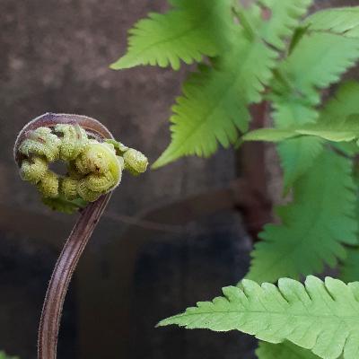Hacemos sin parar porque estamos desconectados de la naturaleza