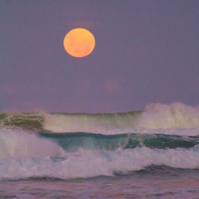 Pronósticos próximos 3 meses Signos de Agua ♋♏♓