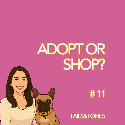 11: Adopt or Shop?