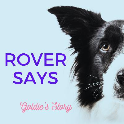 Goldie's Story