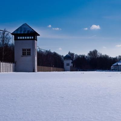 The Left VS. 'the Jews' - A Battle As Old As the Bible - The Tamar Yonah Show The Left VS. 'the Jews' - A Battle As Old As the Bible - The Tamar Yonah Show