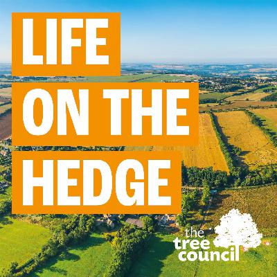 Life on the Hedge - Set off on a journey towards a blossoming career in nature