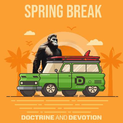 Spring Break Spring Break
