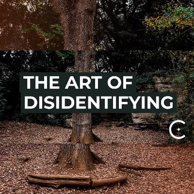 The Art of Disidentifying [Clip from Live – 14/01/2021]