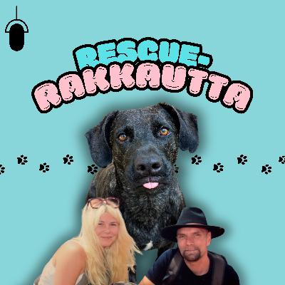 Koirien elekieli & sen ymmärtäminen
