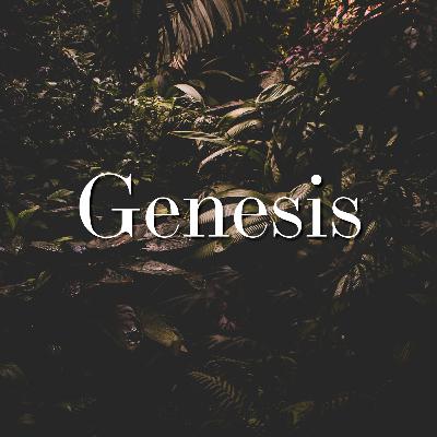 Genesis 28—House of God, Gate of Heaven