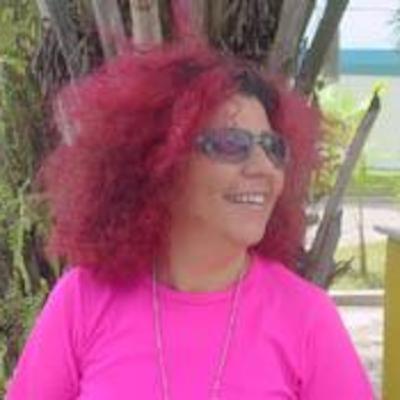 CAVALEIRO DE ARUANDA - RITA RIBEIRO