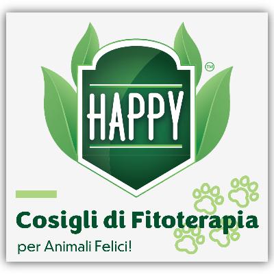 Il Biancospino | Crataegus oxyacantha: La Soluzione nella Gestione del Parto Il Biancospino | Crataegus oxyacantha: La Soluzione nella Gestione del Parto