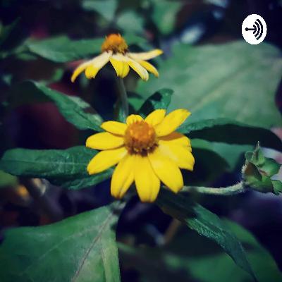 The 1987 Constitution of the Republic of the Philippines