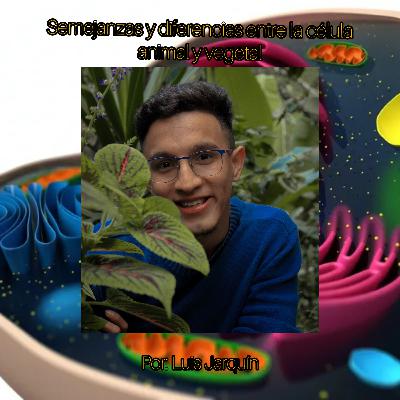 Semejanzas y diferencias entre la célula vegetal y animal