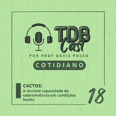 CACTOS: A incrível capacidade de sobrevivência em condições hostis