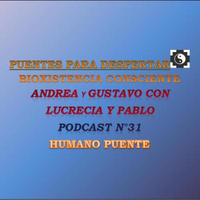 Programa N° 31 de Puentes para Despertar