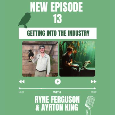 Episode 13 "Getting into the industry"