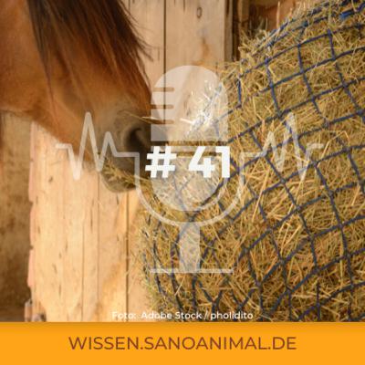 Sanoanimal Podcast # 41 - Slowfeeder