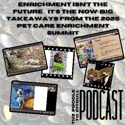 Episode 421: Enrichment In Pet Care Isn't the Future… It's the Now: Big Takeaways from the 2025 Pet Care Enrichment Summit