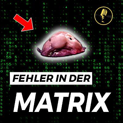 🎤 #37 Der Tanz zwischen Kunst, Künstlicher Intelligenz und krassen Stories | Snicklink 🎤 #37 Der Tanz zwischen Kunst, Künstlicher Intelligenz und krassen Stories | Snicklink