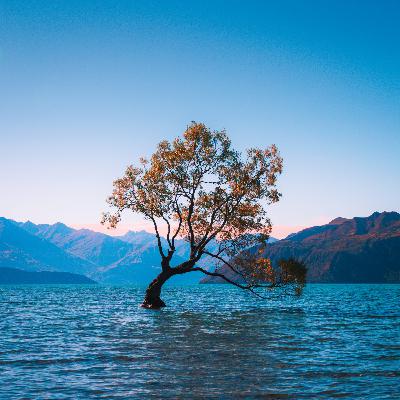 Thiền và Cốt tủy của giáo lý Krishnamurti - Phần 5 ( Phần cuối )