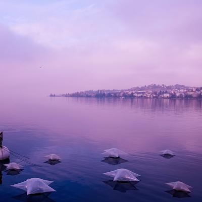 Random Stuff With Ruby and Bridget!