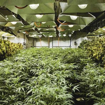 REAL ESTATE TAKING NEW TURNS REAL ESTATE TAKING NEW TURNS