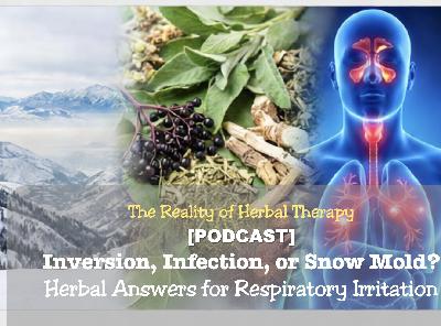 Inversion, Infection, or Snow Mold? Herbal Answers for Respiratory Irritation