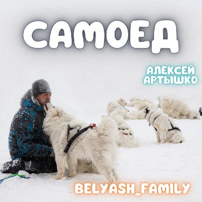 Собаки Самоеды. Зачем они себя едят? Собаки Самоеды. Зачем они себя едят?