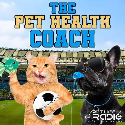 The Pet Health Coach Episode 18 Could MuttGut and KittyGut Solve Your Pet’s Digestive Issues and Create Better Health? The Pet Health Coach Episode 18 Could MuttGut and KittyGut Solve Your Pet’s Digestive Issues and Create Better Health?