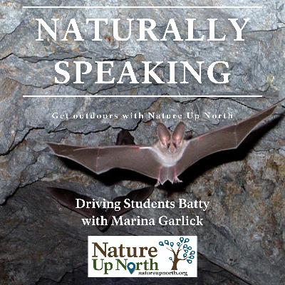 Driving Students Batty - St. Lawrence University Summer Research