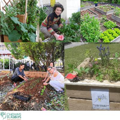 Chemins Durables-Saison alimentation-épisode 7:Sème et Récolte: un potager comme support de communication Chemins Durables-Saison alimentation-épisode 7:Sème et Récolte: un potager comme support de communication