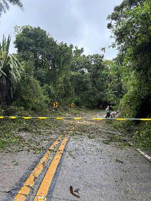 Turistas do Rock The Mountain enfrentam 8 horas de bloqueio na BR-495 após queda de árvore