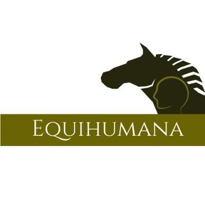 Special: Faires Pferdetraining sichtbar machen- Interview mit Anna Häfele von Equidamus