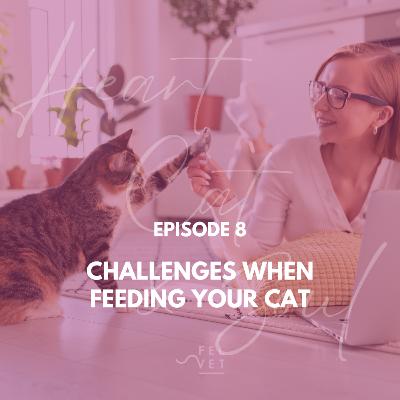 EPISODE 8: Challenges when feeding your cat