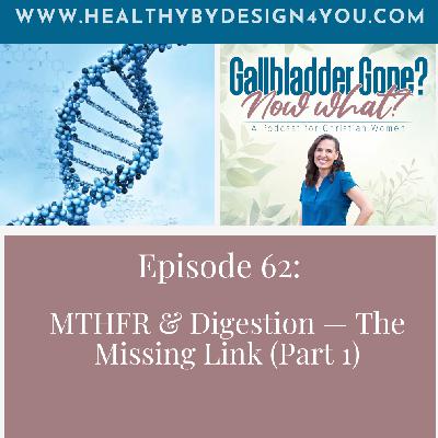 62: MTHFR & Digestion — The Missing Link (Part 1) 62: MTHFR & Digestion — The Missing Link (Part 1)