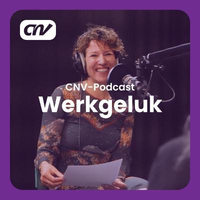 Omscholen naar de Publieke Sector | Werkgeluk #5 Omscholen naar de Publieke Sector | Werkgeluk #5