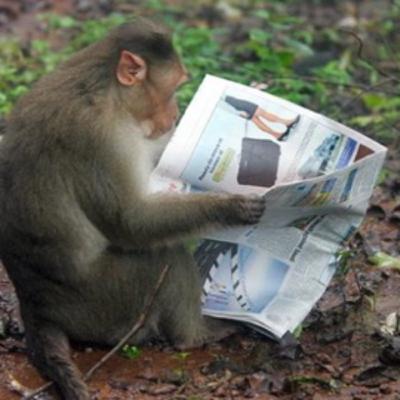 Episode 25: August 5, 2011 Episode 25: August 5, 2011