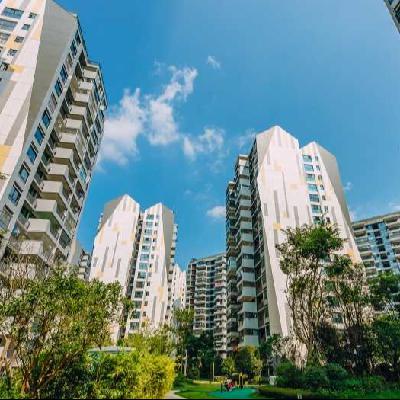 Vol.450|物业公司“撤场”案例频发，物业费真的越低越好吗？