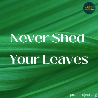 Never Shed Your Leaves  (QuranProject)